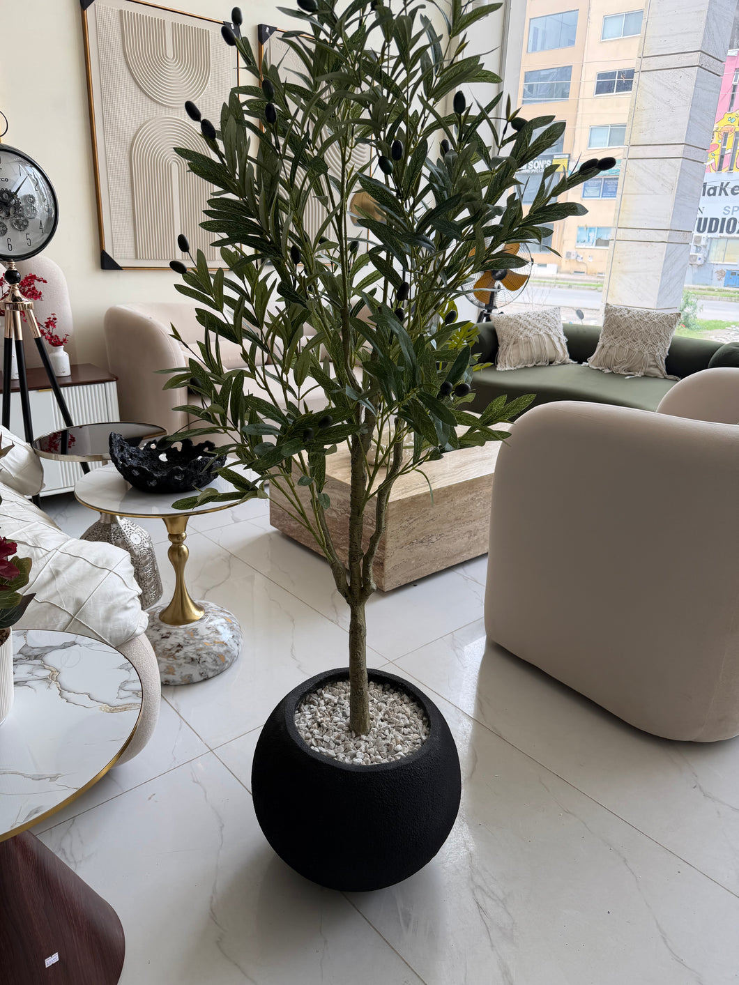 Olive with Round Textured Pot
