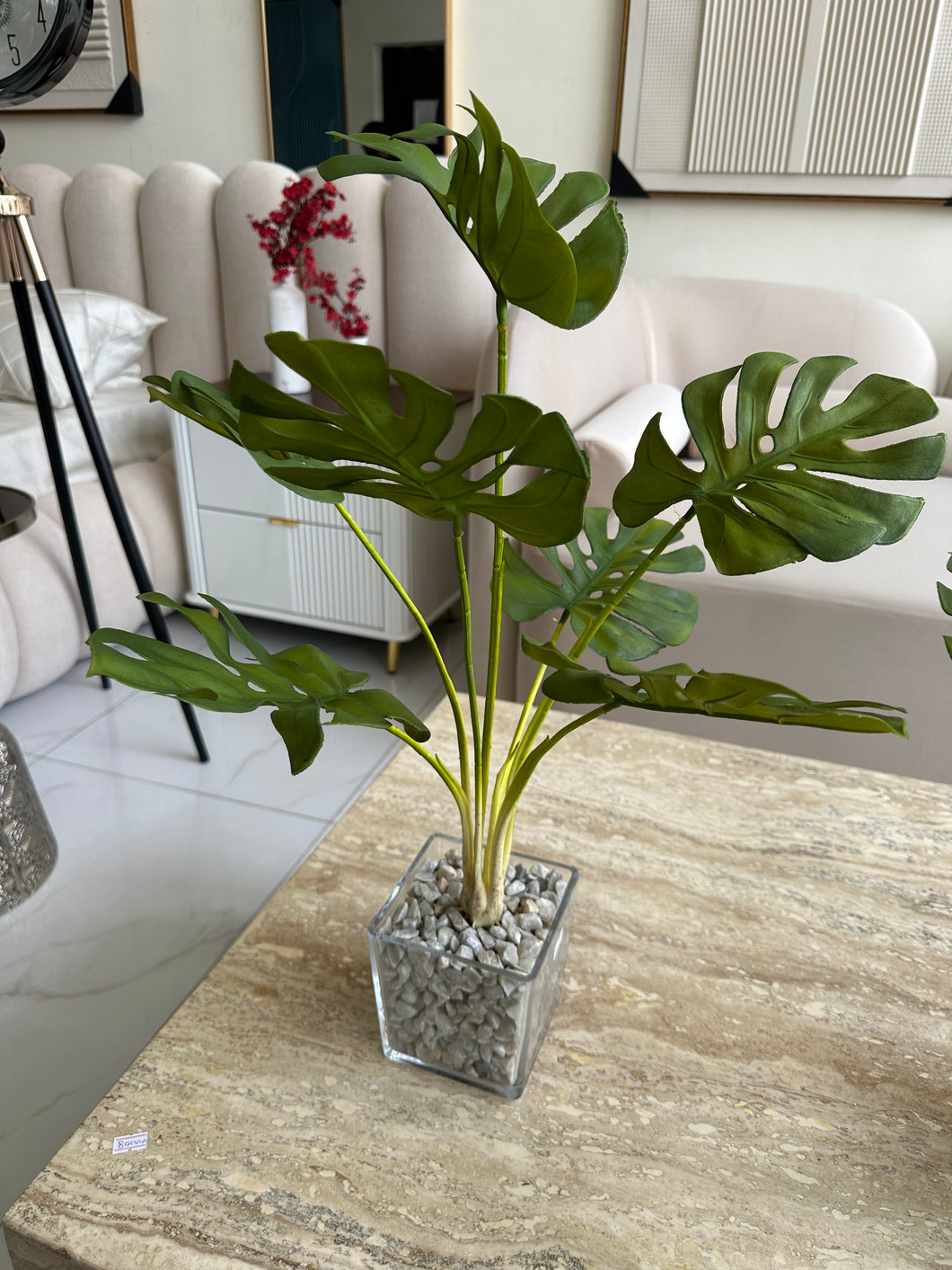 Glass Planter with Monstera Plant