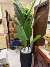 Artifical plants and planter 28