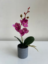 Orchid Planter Pink 002