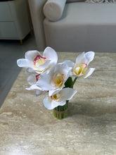 Orchid Standing Bunch Large 004