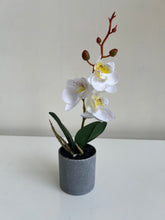 Orchid Planter White 001