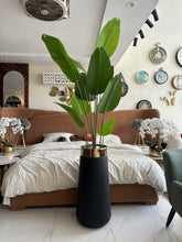 Banana plant and Large Black planter