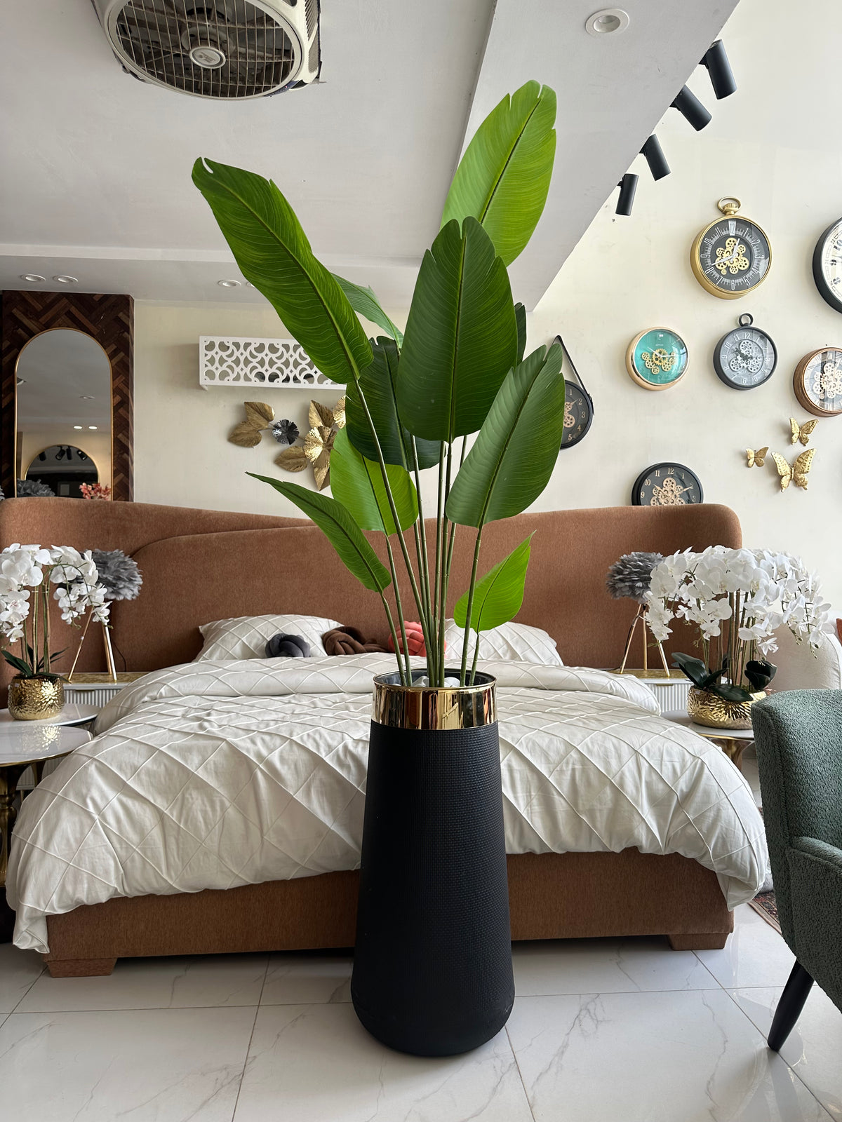 Banana plant and Large Black planter