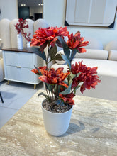 Orange Peony Flower in Ribbed Pot