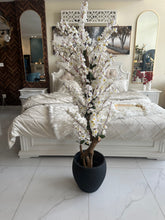 White Blossom Flower Plant with textured Planter Black