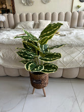 Artificial small plant 002