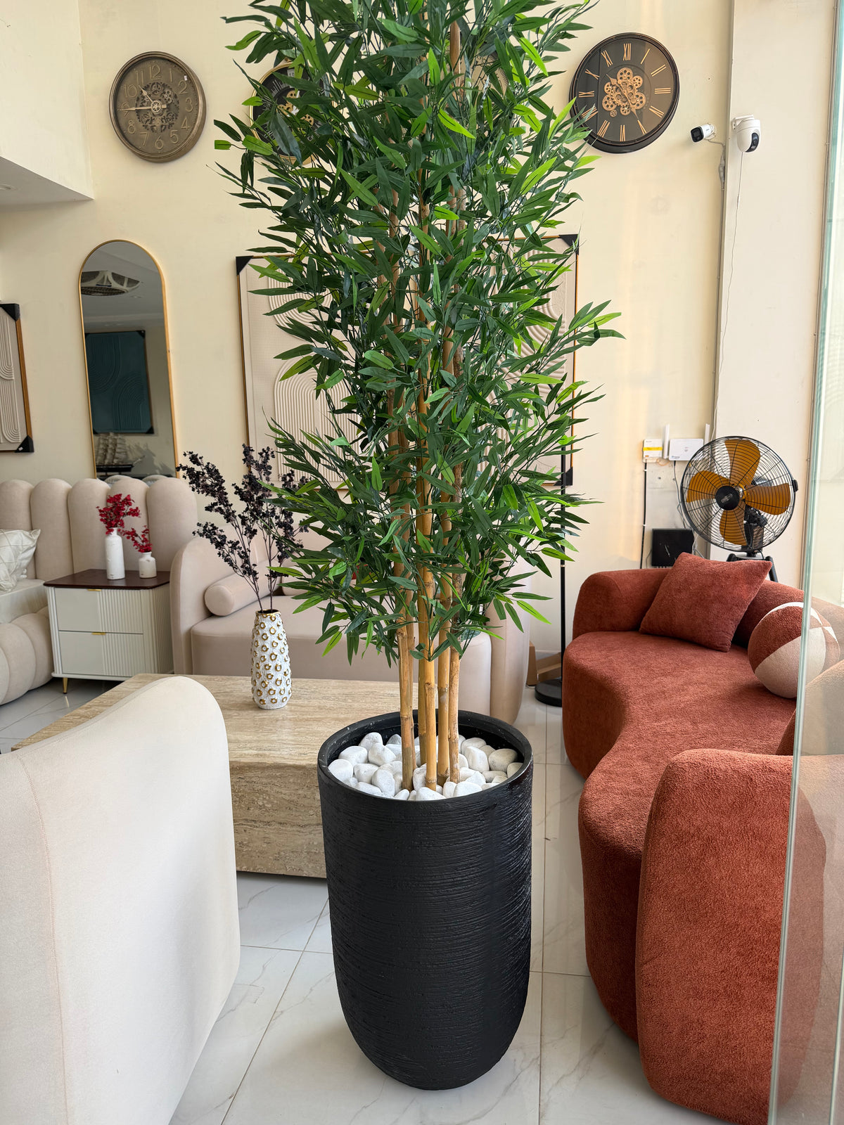 Bambo plant with U Pot