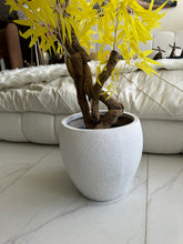 Yellow leaf Plant with textured Planter
