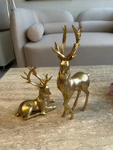 Regal Deer Sculpture set