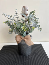 Cotton plant with pot