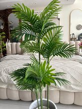 Areca Plant Small with Hugo planter White