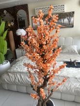 Peach Blossom Flower Plant with textured Planter