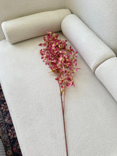 Wild Lilies Flower stem Pink