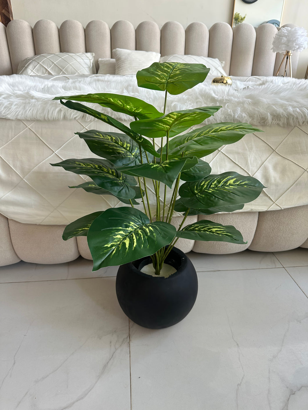 Round Pot  Plant (003)