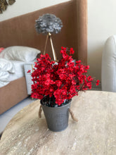 Eucalyptus planter Red
