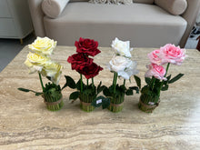 Rose Standing Bunch