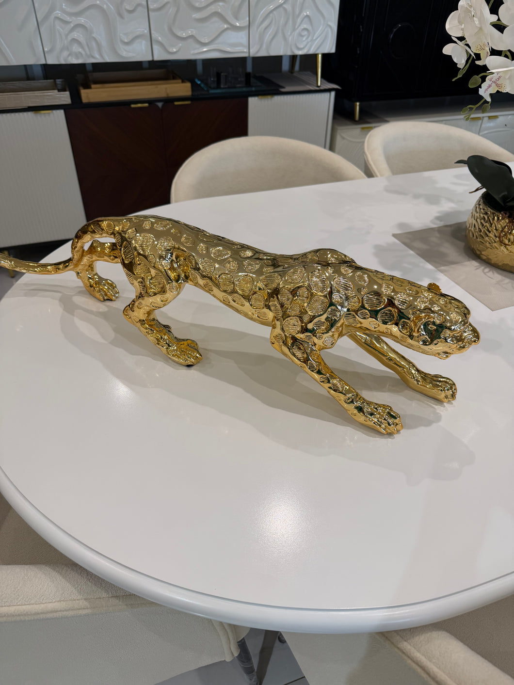 Shiny leopard Imported