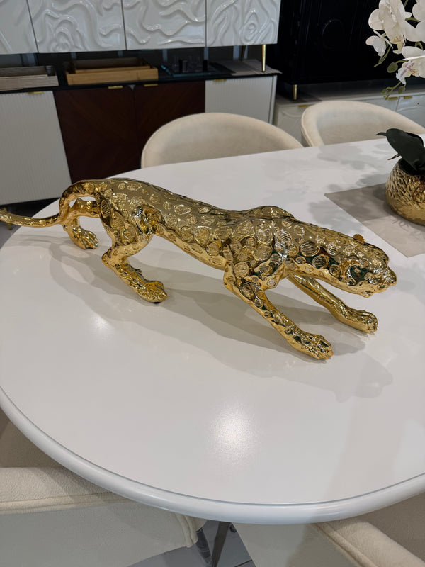 Shiny leopard Imported