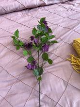 Bougainvillea Flower Stem