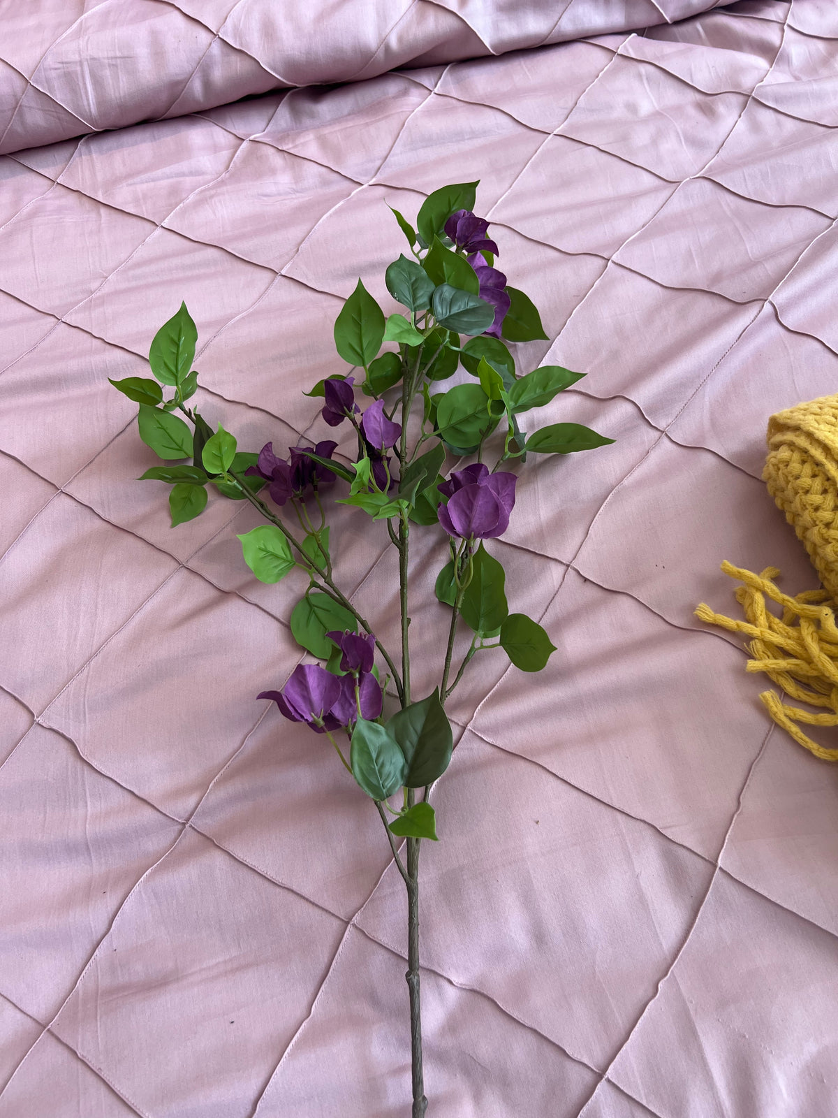Bougainvillea Flower Stem