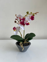Orchid Planter 003