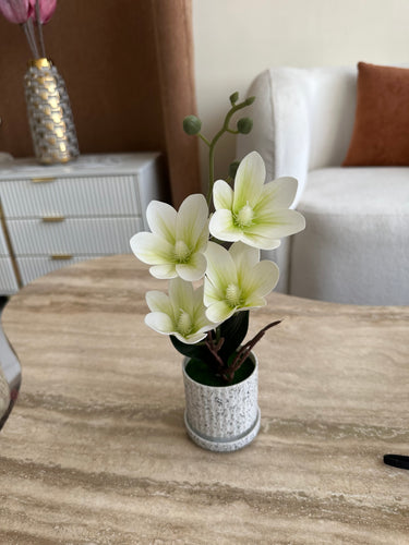 Orchid Planter white 015