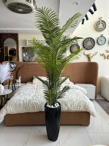 Areca Palm Tree with Large Black Planter 02