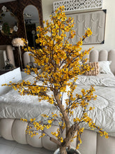 Faux Eucalyptus Yellow flower Plant (medium) with Hugo planter White