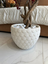 Faux Eucalyptus Red flower Plant with Imported Planter