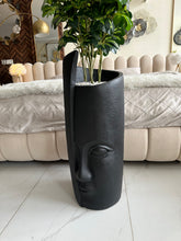 Face Planter with Umbrella Tree