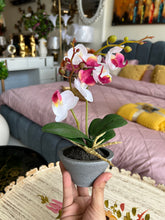 Orchid Planter 003