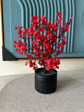 Red Eucalyptus with Black Planter
