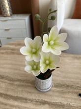 Orchid Planter white 015