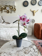 Orchid Planter 012