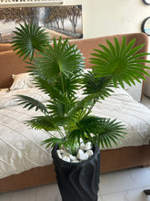 Artifical plants and planter 29