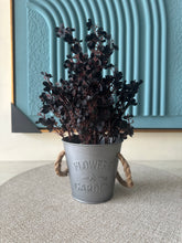 Eucalyptus planter Black