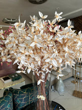 Wild Lilies Flower stem white
