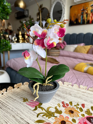Orchid Planter 003