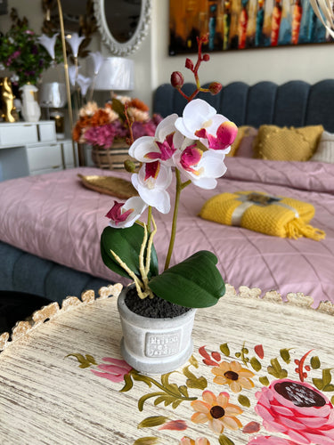 Orchid Planter 006