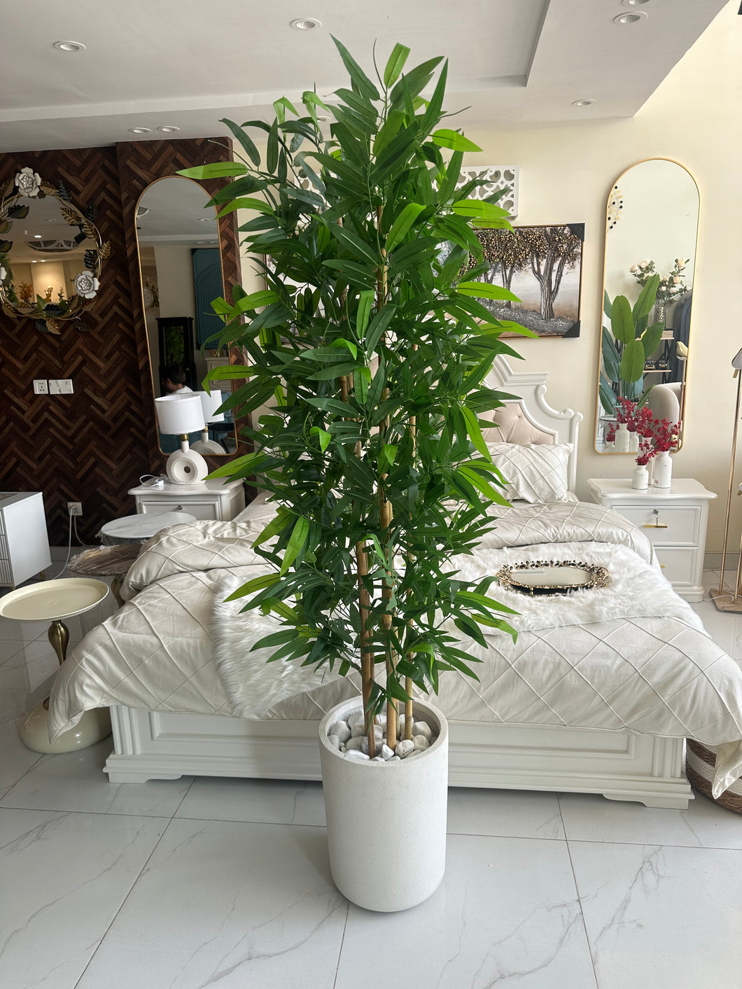 Bambo plant with Aster Pot