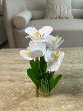 Orchid Standing Bunch medium 002