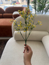 Baby Breath Yellow 05