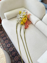 Winter Jasmine Flower