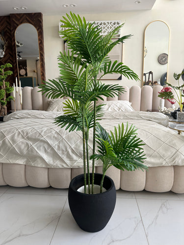 Areca Plant Small with Hugo planter Black
