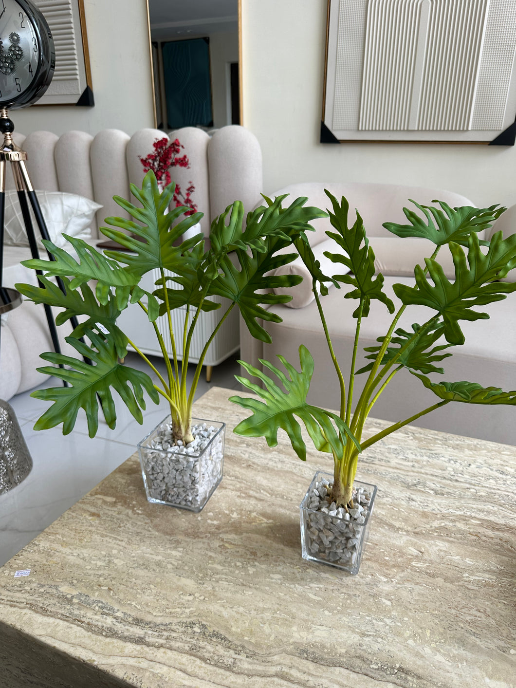 Glass Planter with Turtle plant
