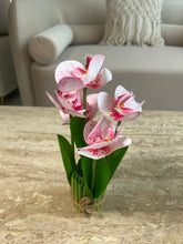 Orchid Standing Bunch medium
