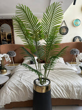 Areca Palm Tree with Large Black Planter