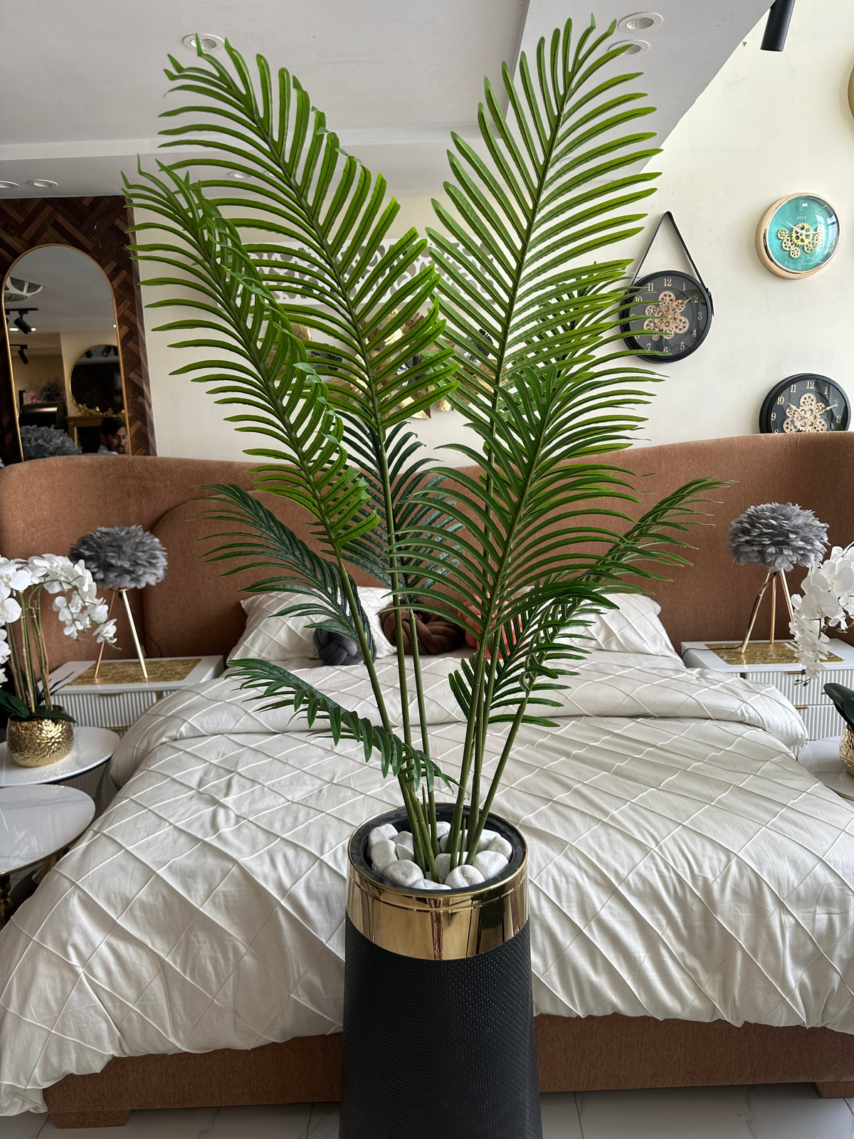 Areca Palm Tree with Large Black Planter