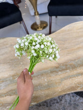 Baby Breath in White